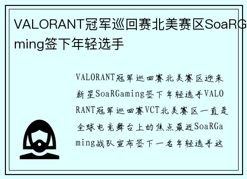 VALORANT冠军巡回赛北美赛区SoaRGaming签下年轻选手